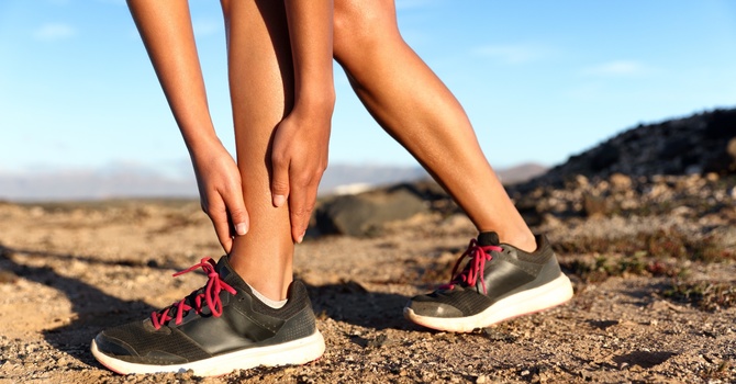 Performance and Wellness Services