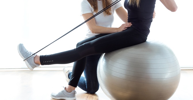 Performance and Wellness Services